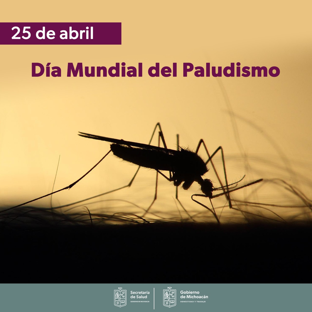 SALUD Michoacán tiene 18 años sin presencia de Paludismo