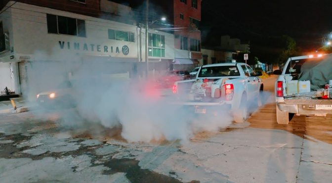 Salud Arranca Ssm Operativo Contra El Dengue En Buenavista