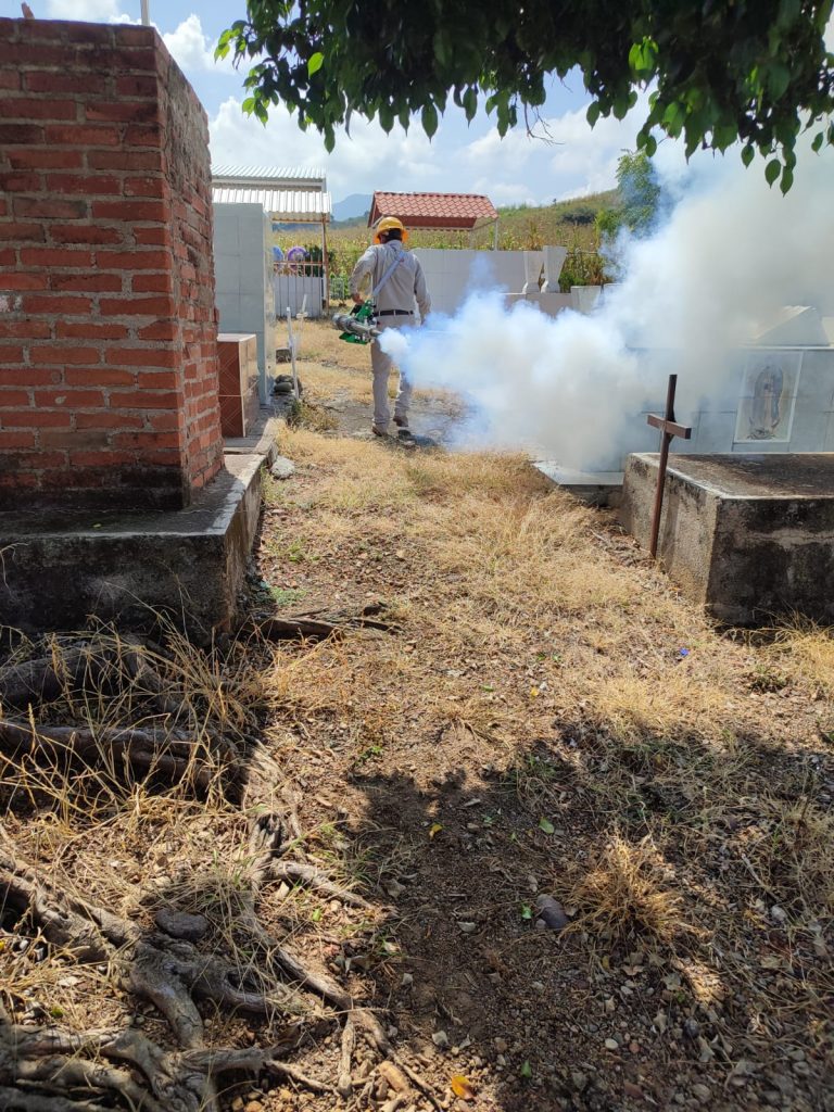 Salud Listos Y Protegidos Contra El Dengue Panteones De Michoac N Ssm