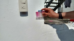 IMG-20161005-WA0030 (2)