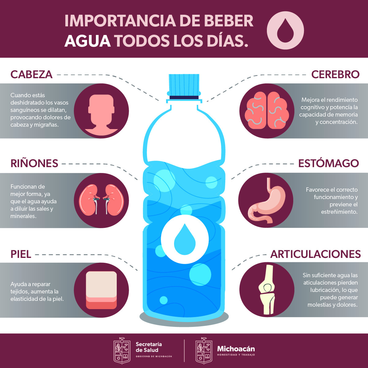 Salud Conoce Los Beneficios De Beber Agua Todos Los Días Para Tu Organismo
