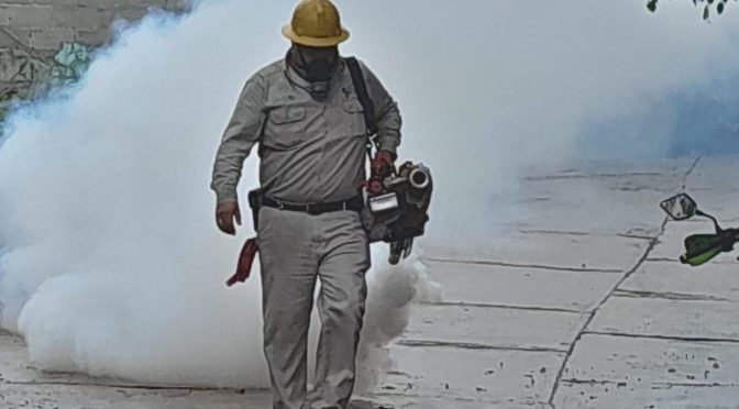 Salud Mantener Patios Limpios La Clave Para Combatir El Dengue Ssm